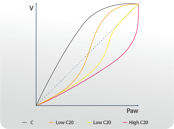 C20/C Monitoring