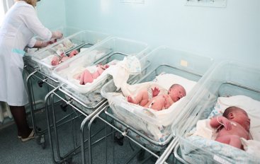 Newborn